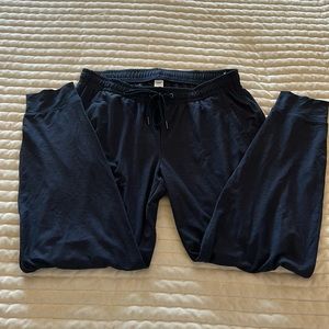 Navy active joggers great used condition. No flaws